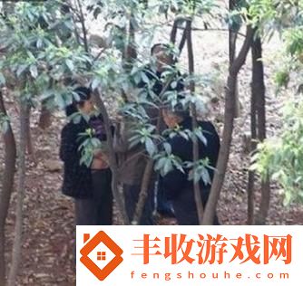 妙哉！中山小樹(shù)中老年交易狂潮